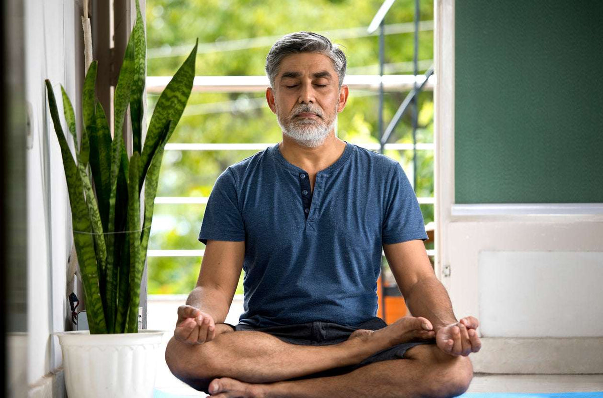 Malkangani Oil and Anxiety: What the Science Shows