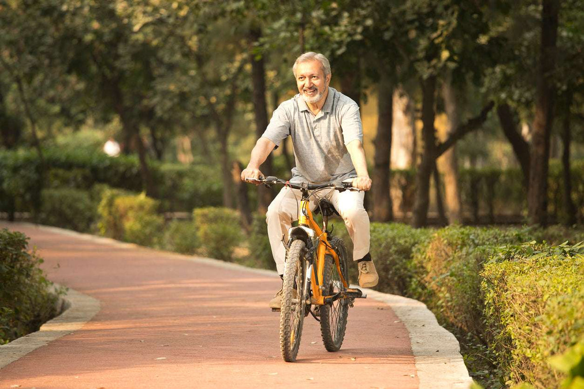Malkangani Oil for Fatty Liver: What the Research Shows